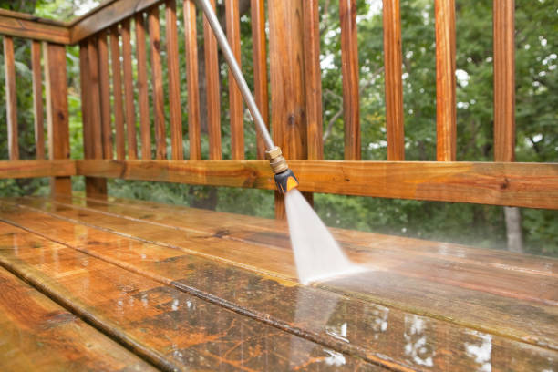 Best Roof Pressure Washing  in Silver Springs, NV